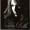 Small cover image for Dion Celine - Delles