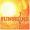 Small cover image for Sunshine Jive - Sunshine Jive