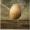 Small cover image for Wolfmother - Cosmic Egg